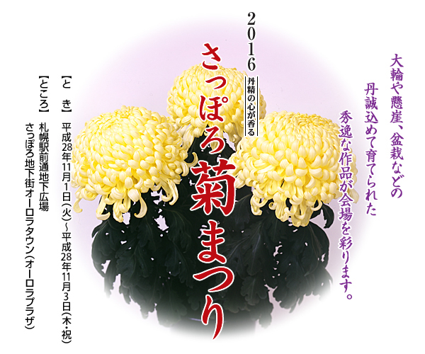 kkiku_matsuri